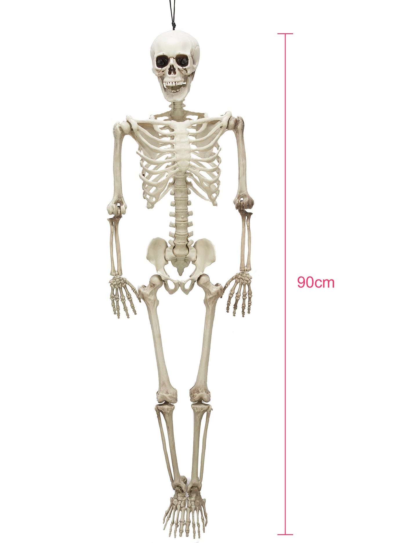 Zglobni kostur 90 cm Noć vještica