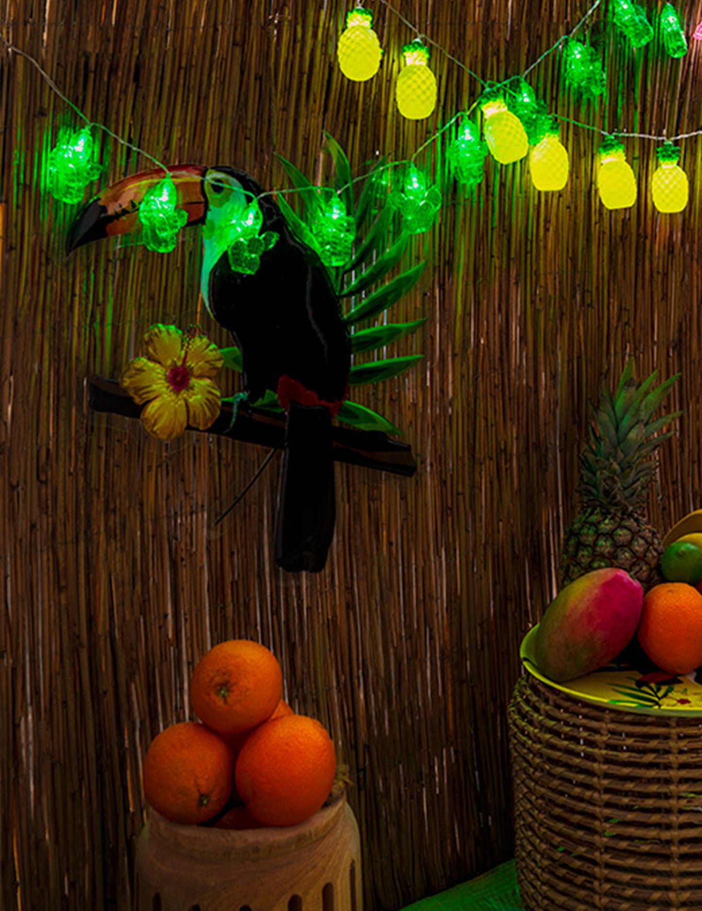 Toucan sirova ovjes 25 x 19 cm