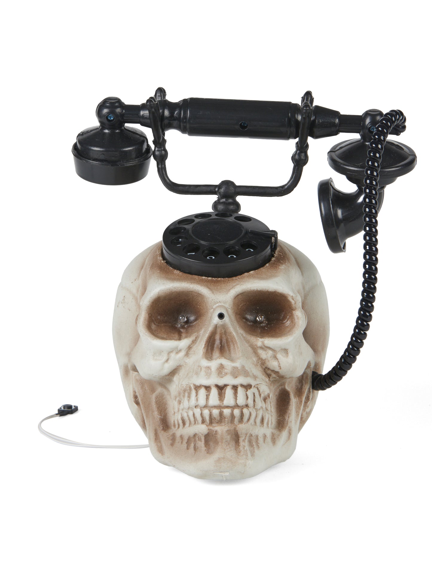 Pojedinačna glava lubanje 22 x 25 cm