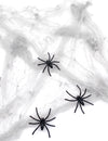 Bijela paukova mreža s paucima 20 g Halloween