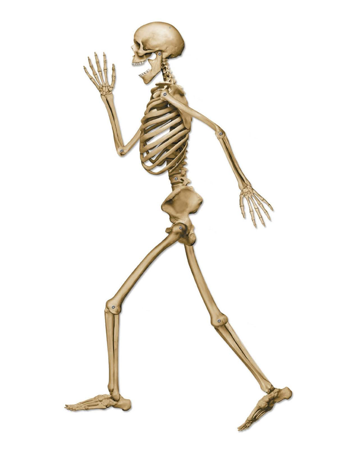 Ukrasni kostur koji hoda za halloween bež